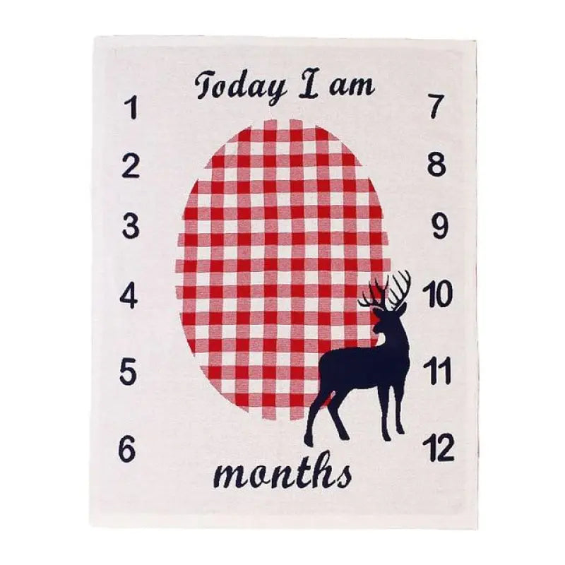 Personalized Baby Blanket with Monthly Milestone Markers