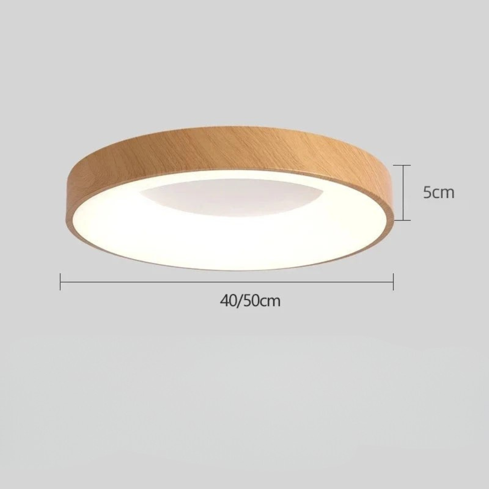 Sleek Flat Ceiling Lamp for Living Room Lighting