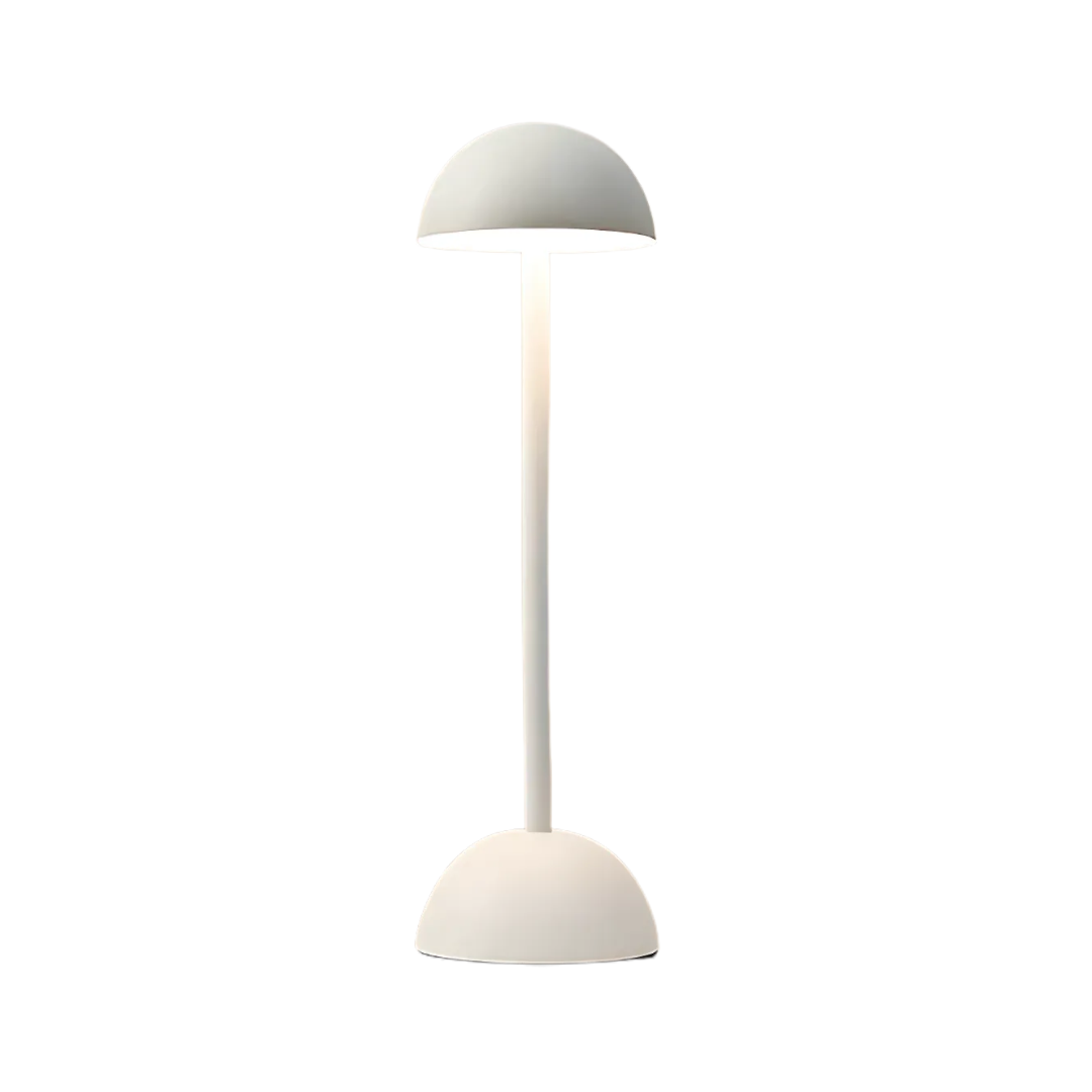Bright Touch LED Desk Lamp with USB Recharge