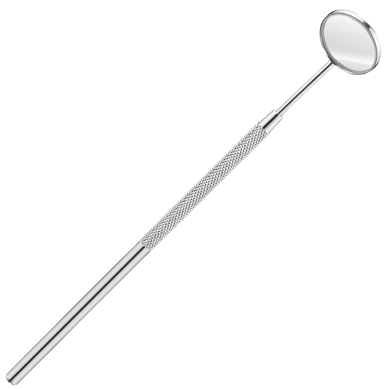 Dental Stainless Steel Pick & Scraper Tool