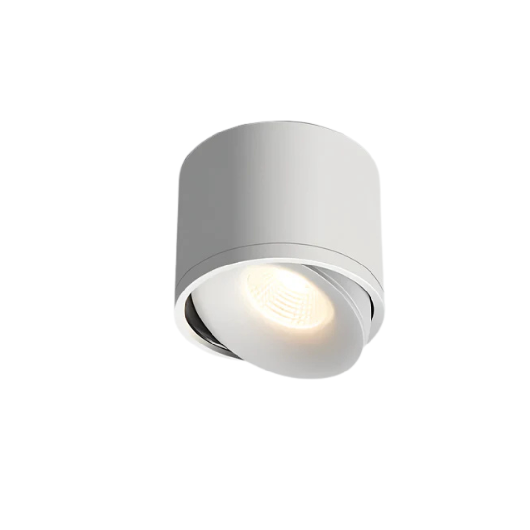 Simple Round LED Ceiling Light