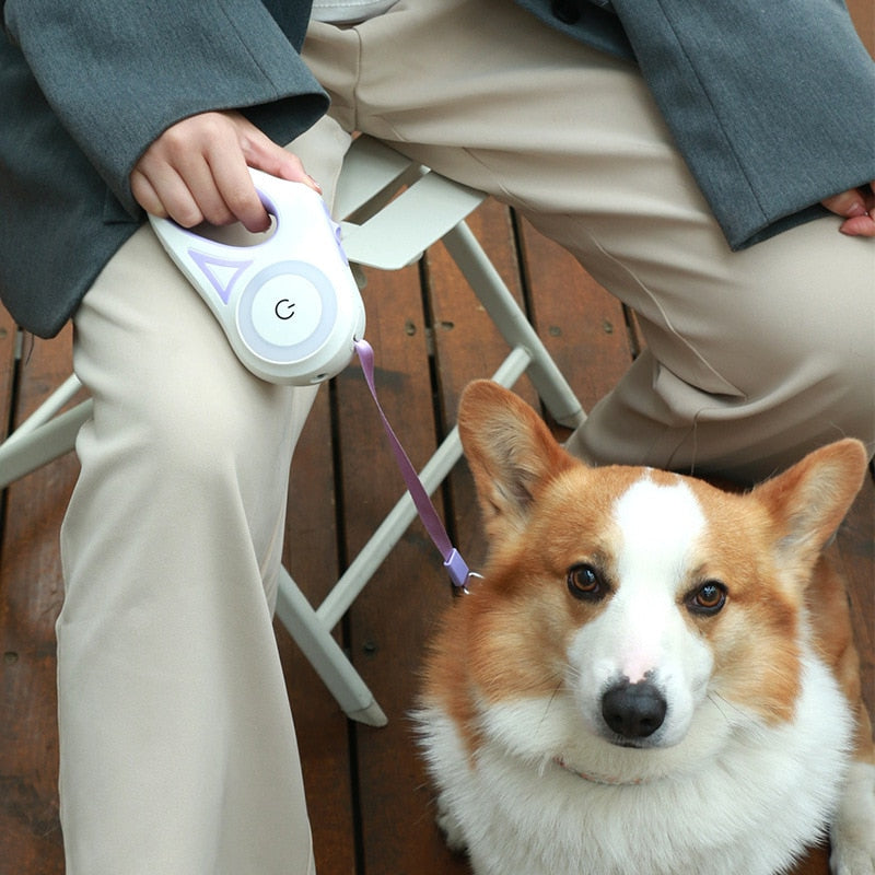 Bright Safety Dog Leash with LED Flashlight