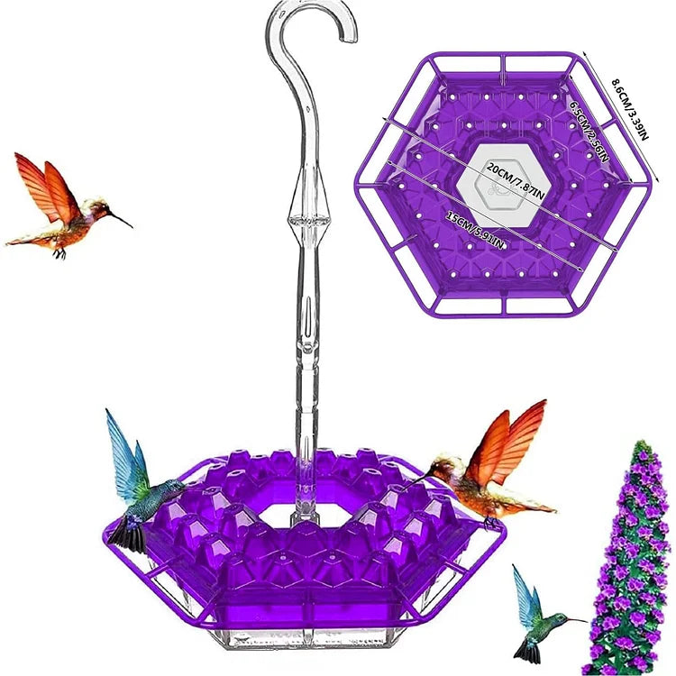 Colorful Bird Feeder Set