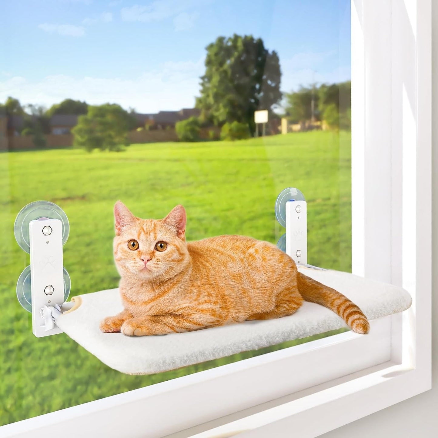 Cozy Pet Window Seat