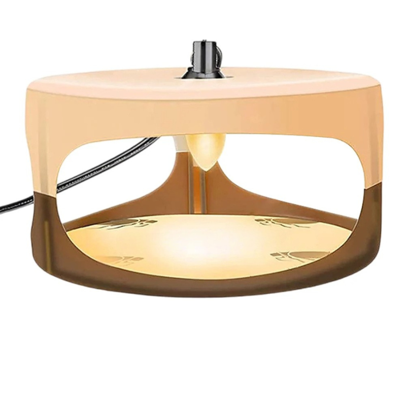 Effective Home Bed Bug Catcher