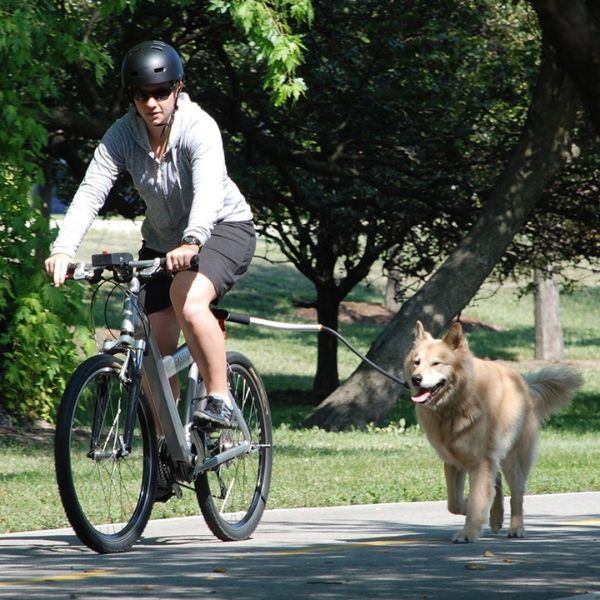 Pet Cycle Safety Vest