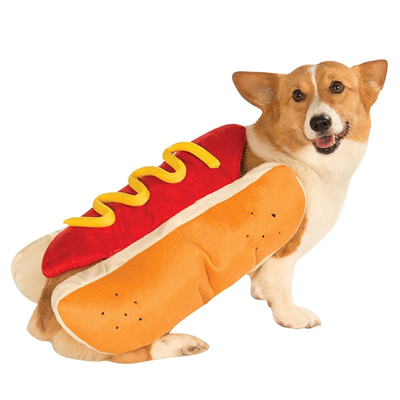 Funny Dog Halloween Pet Outfit - Halri