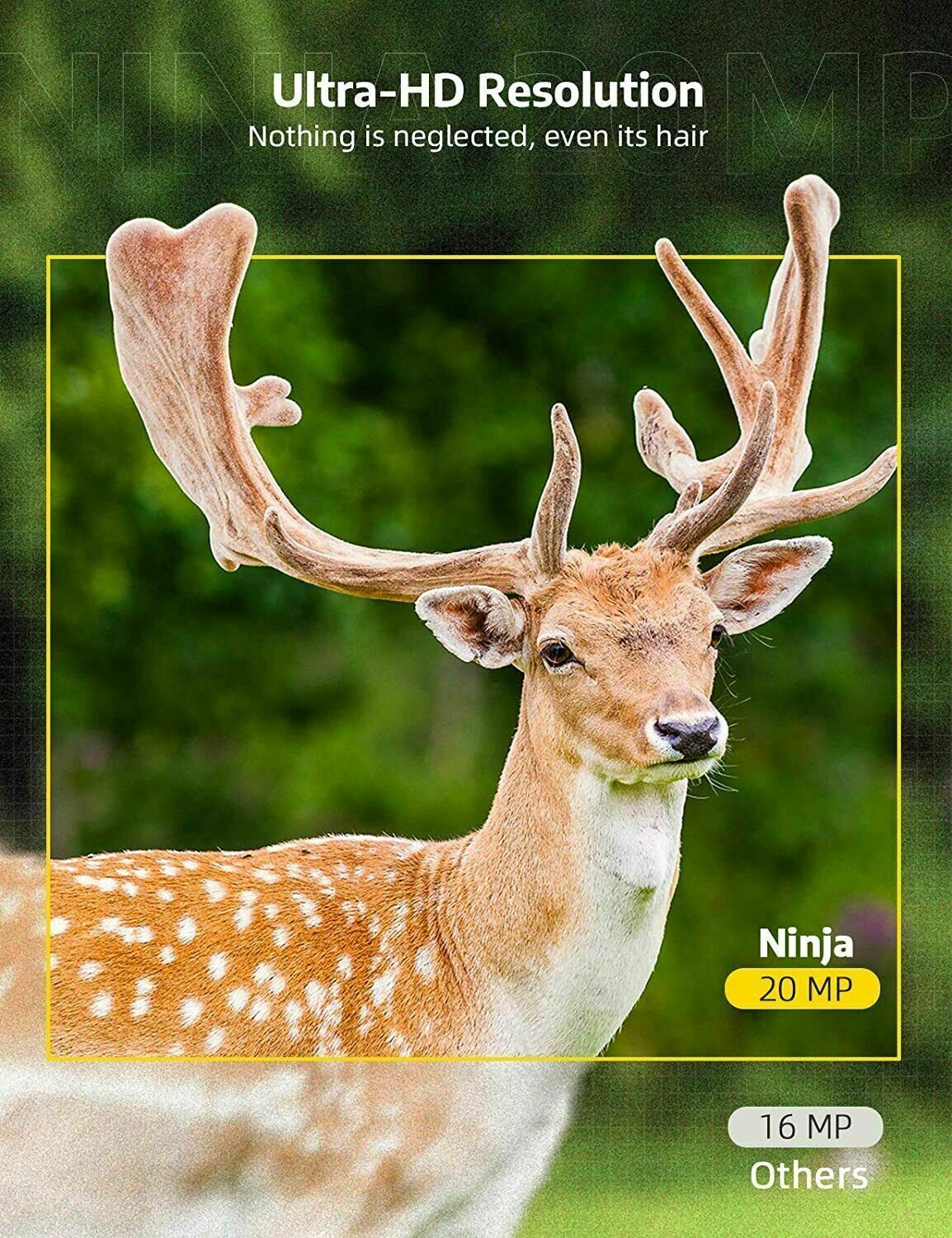 Motion Activated Outdoor Night Vision Game Camera
