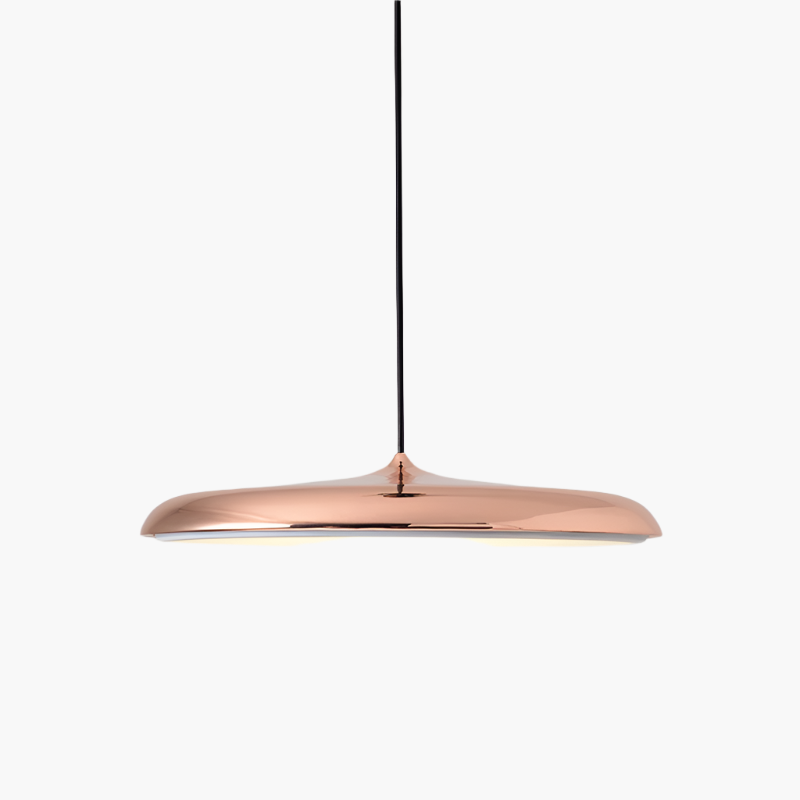 Simple Elegant LED Hanging Light Fixture