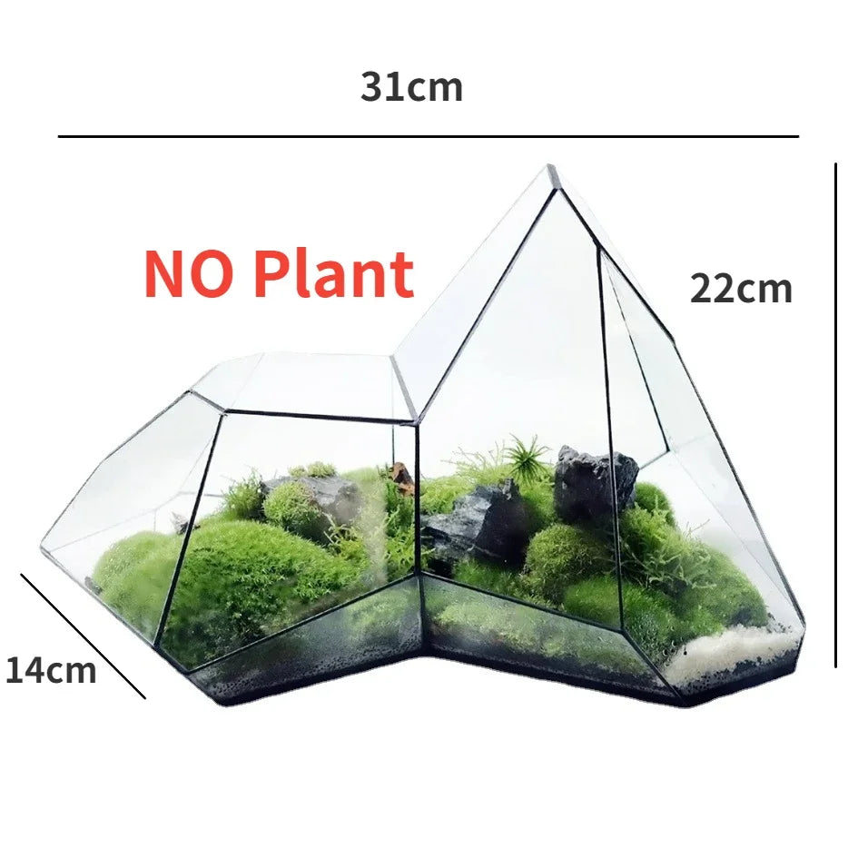 Mini Glass Succulent Planter Vase
