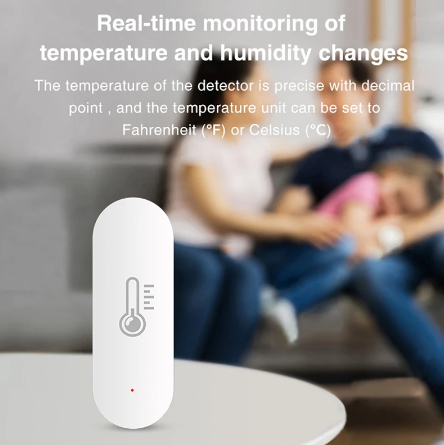 wireless-thermometers