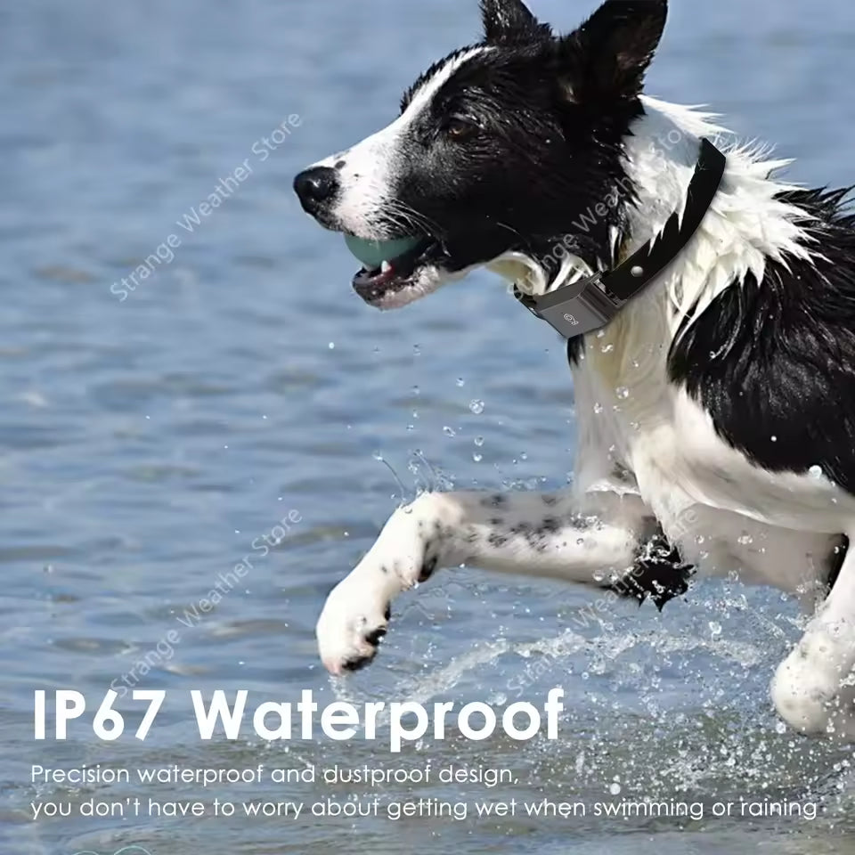 Pet GPS Tracking Collar with Real Time Location Alerts
