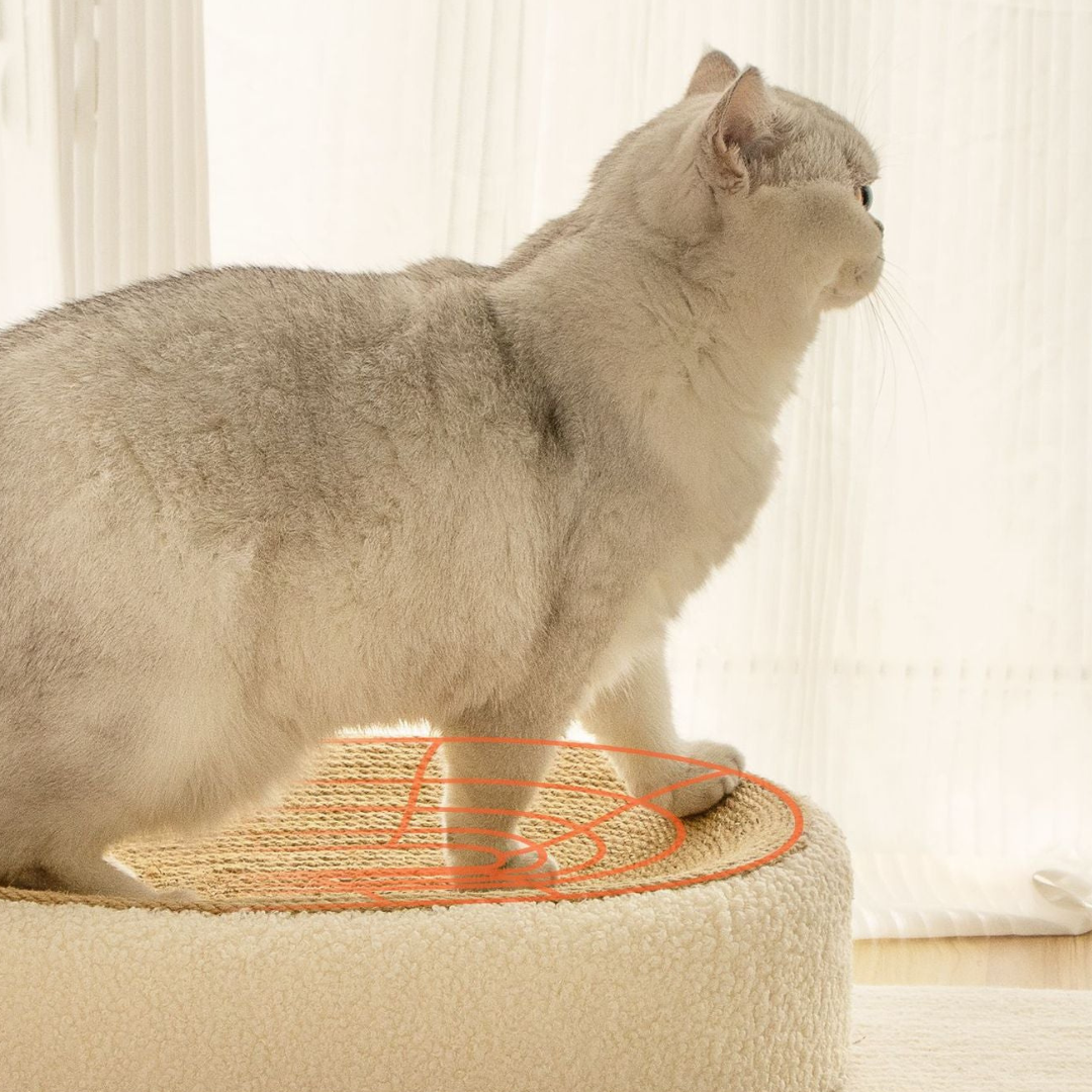Natural Fiber Cat Scratching Bed