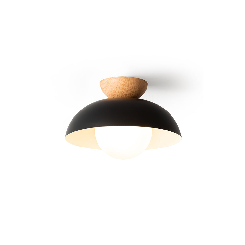 Sleek Ceiling Light Fixture