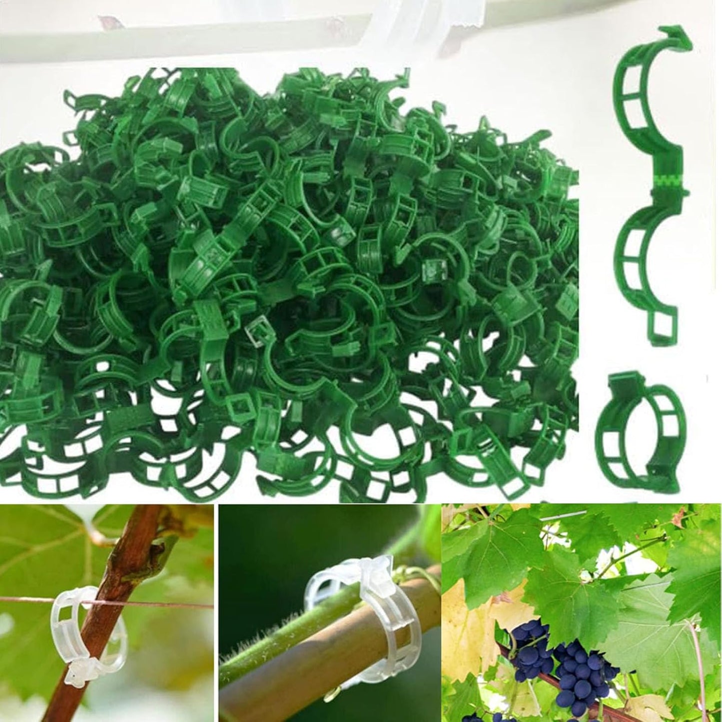 Easy Garden Tomato Plant Clips