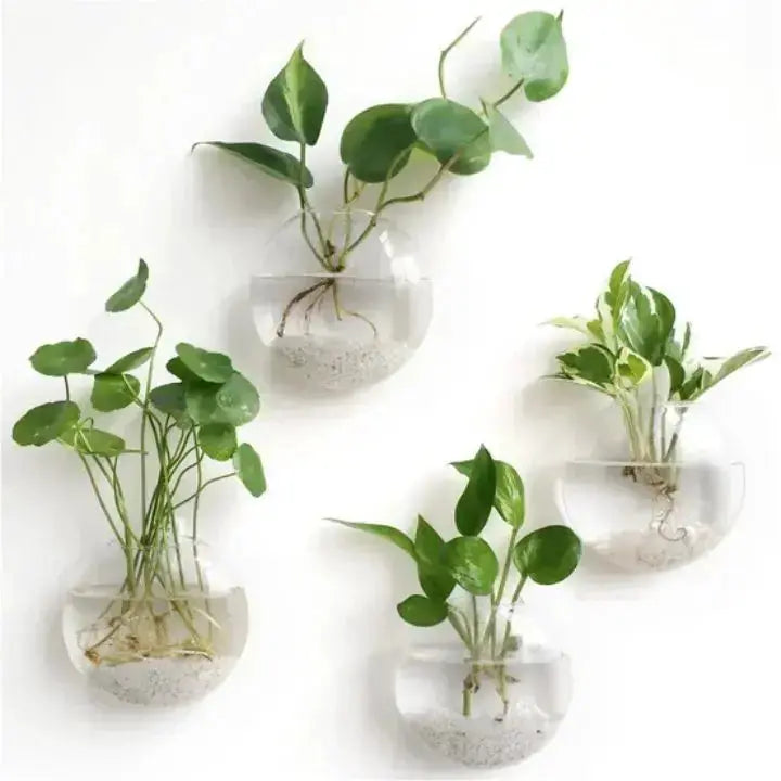 Green Wall Planter Box - Halri