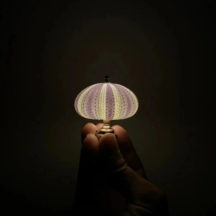 Ocean Inspired Shell Table Lamp - Halri