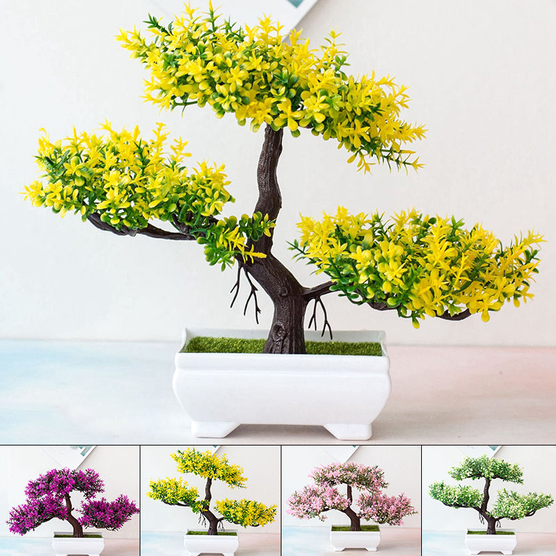 Mini Indoor Bonsai Tree