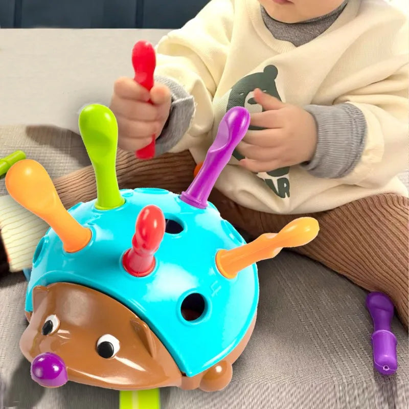 Fun Educational Hedgehog Toy - Halri