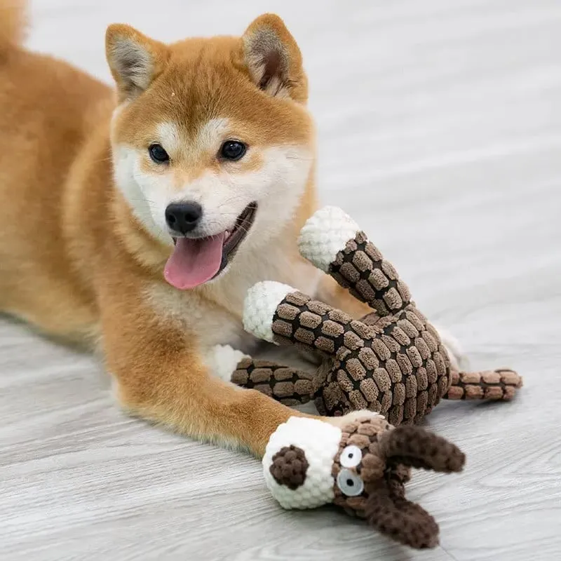 Durable Chew Proof Dog Toy
