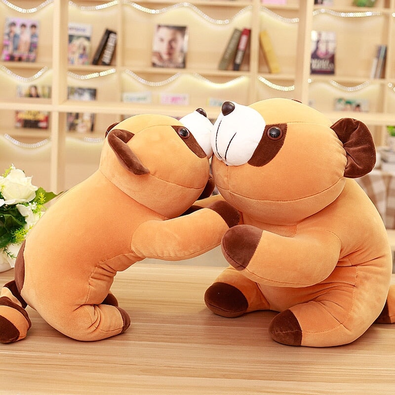 Soft Brown Teddy Raccoon Plush Toy - Halri
