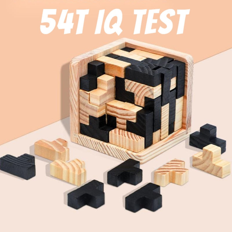 Fun Interactive 3D Brain Teaser Puzzle Toy - Halri