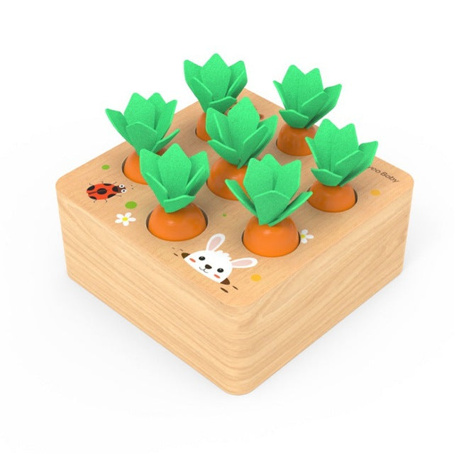 Fun Wooden Veggie Sorting Game for Kids