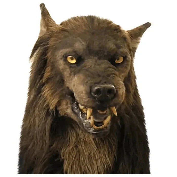 Spooky Wolf Mask for Halloween Costume Party