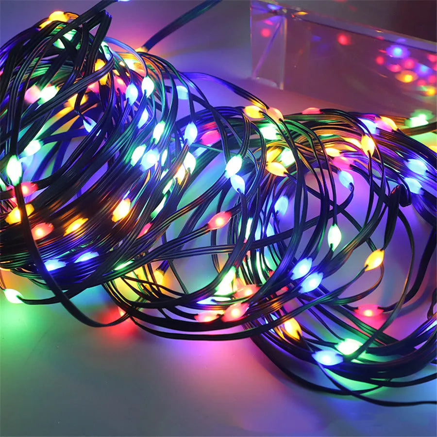 Colorful Outdoor Christmas LED String Lights