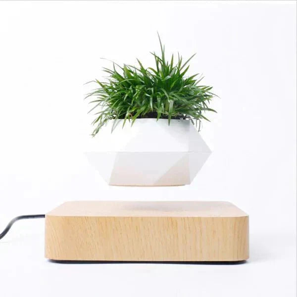 Unique Floating Plant Decor - Halri