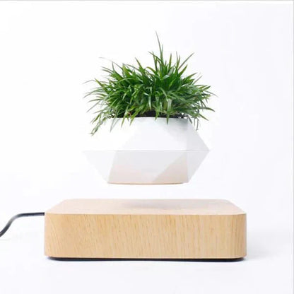 Unique Floating Plant Decor - Halri