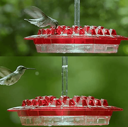 Easy Fill Outdoor Bird Feeder with Ant Block