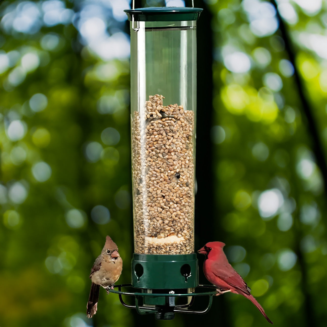 Squirrel Proof Bird Feeder with Spin Tray - Halri