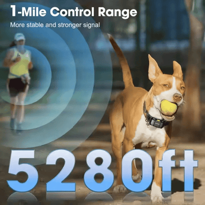 Long Range Remote Training Collar for Large Dogs