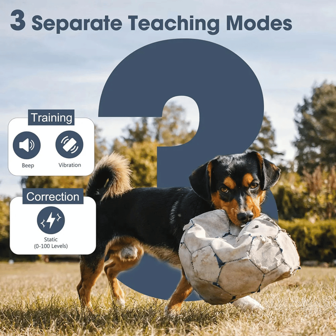 Long Range Remote Training Collar for Large Dogs