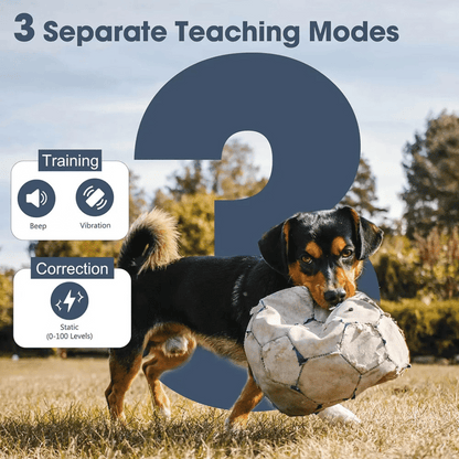 Long Range Remote Training Collar for Large Dogs