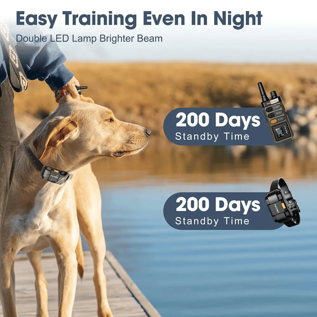 Long Range Remote Training Collar for Large Dogs