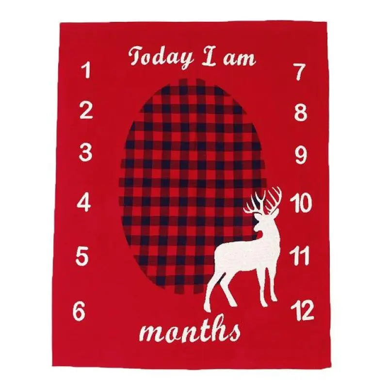 Personalized Baby Blanket with Monthly Milestone Markers