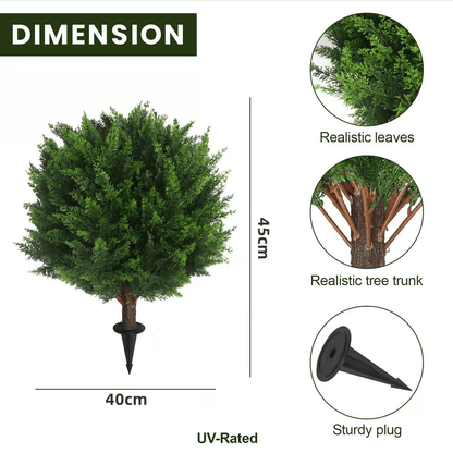 Fresh Cedar Room Essential Oil Diffuser Lamp - Halri