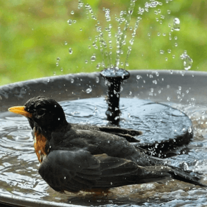 Outdoor Solar Powered Water Fountain