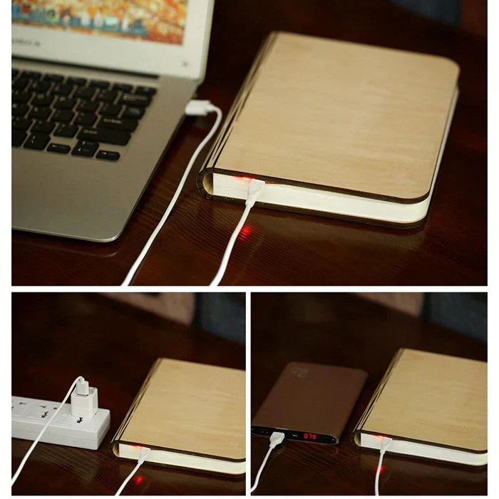 Compact LED Reading Light with Flexible Design - Halri
