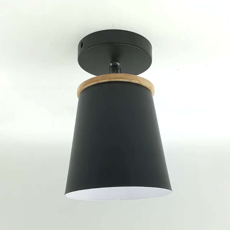 Elegant Glass Pendant Light