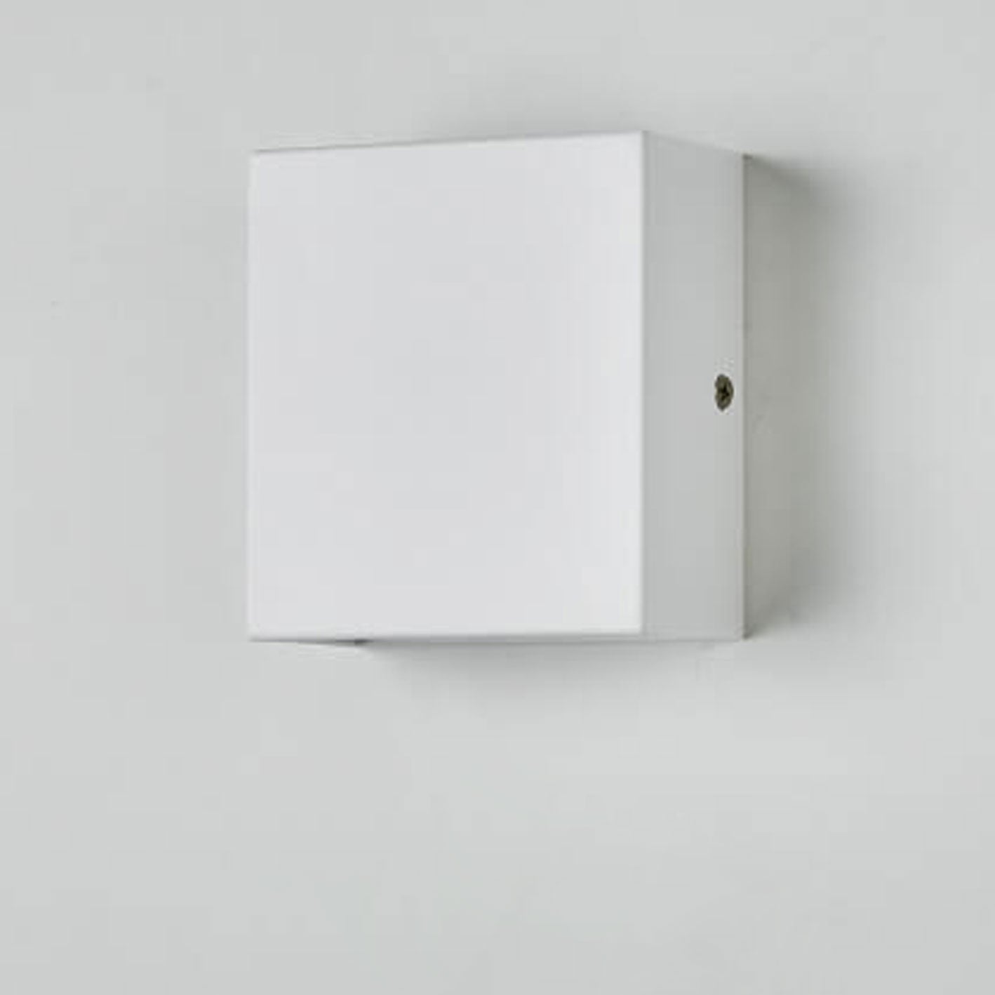 Smart Outdoor Motion Sensor LED Wall Light