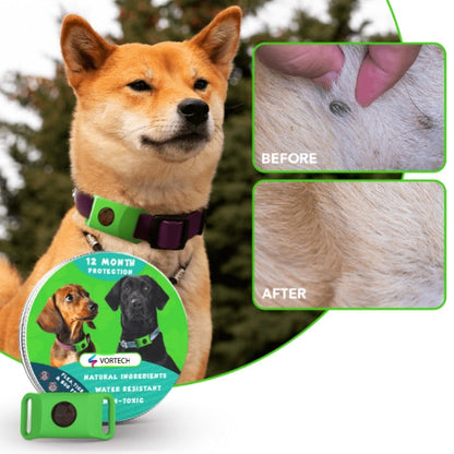 Long Lasting Pet Flea and Tick Control Spray - Halri