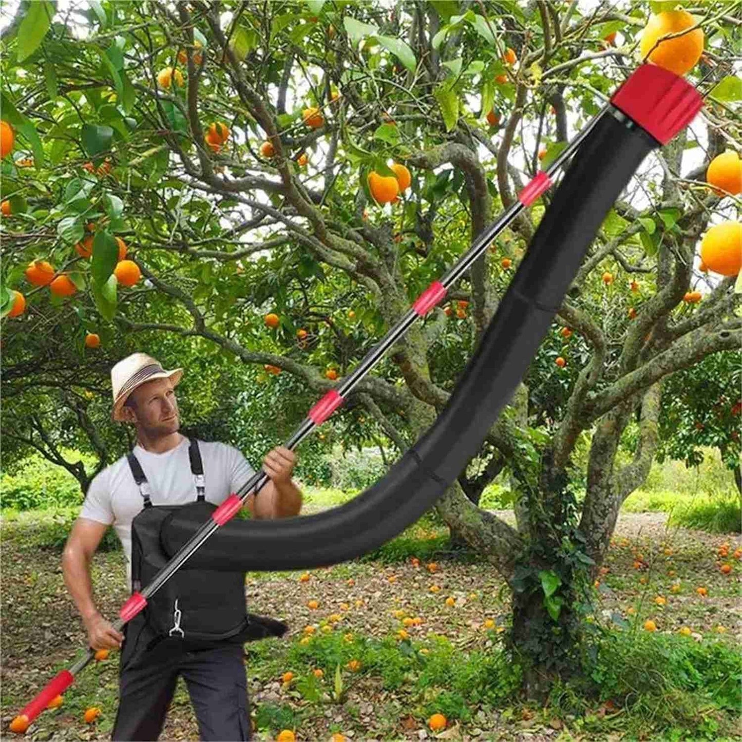 Long Handle Fruit Picker with Picking Bag - Halri