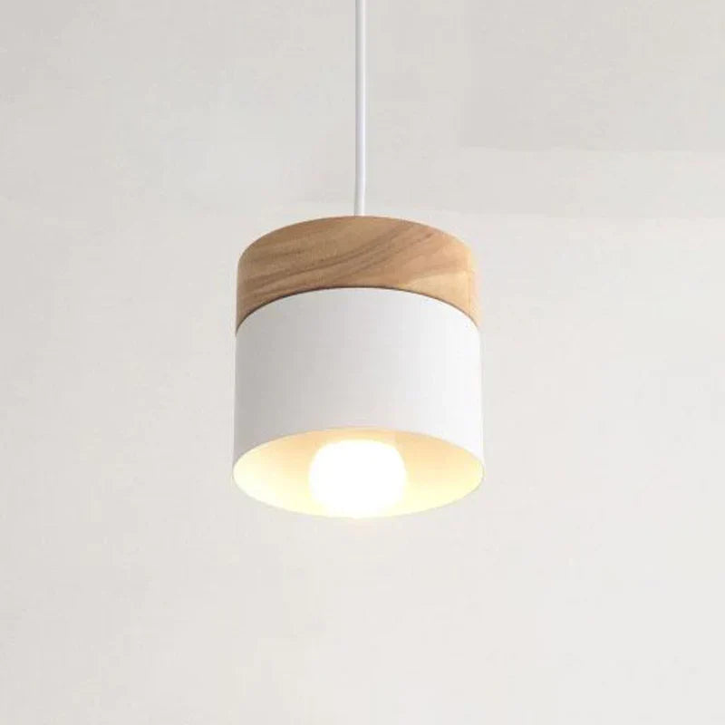 Stylish Modern Glass Pendant Lamp