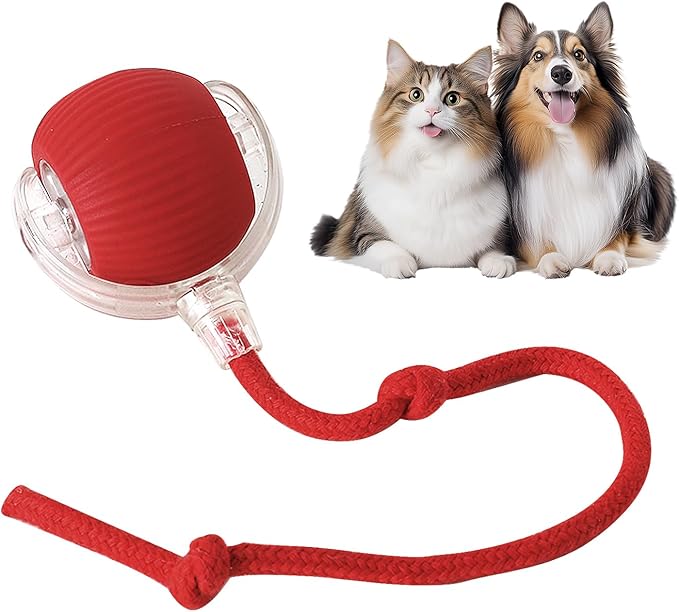 Fun Interactive Dog Ball Toys - Halri