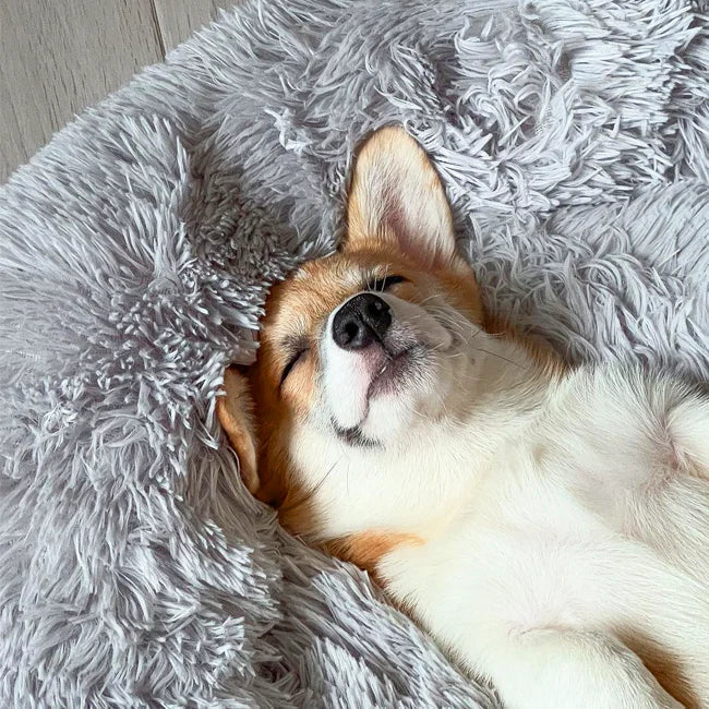 Comfy Supportive Dog Donut Bed