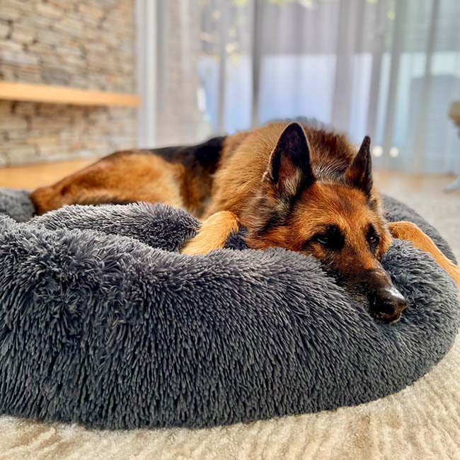 Comfy Supportive Dog Donut Bed