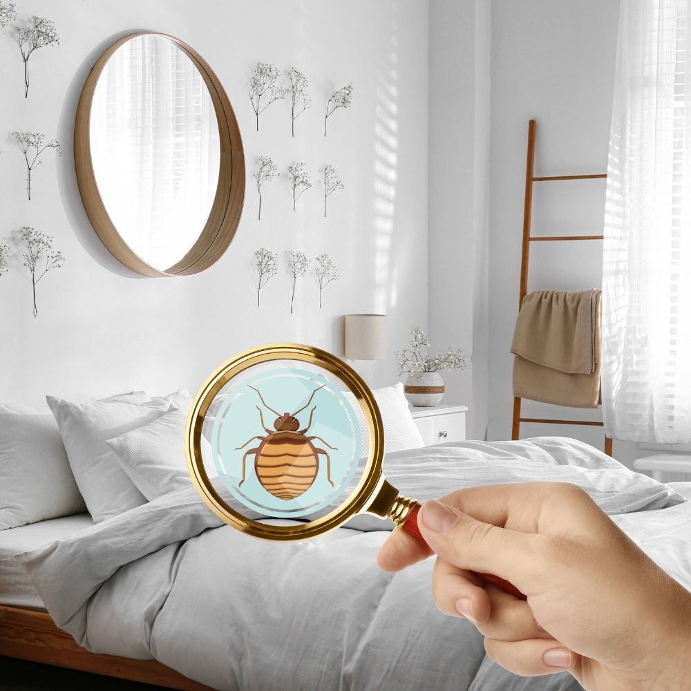 Powerful Bed Bug Steam Cleaner for Home Use